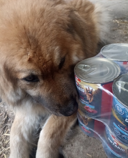 Pomáháme zvířatům Drnovice